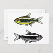 Neon Tetra aquarium vis Briefkaart (Voorkant / Achterkant)