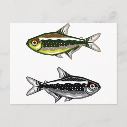 Neon Tetra aquarium vis Briefkaart (Voorkant)