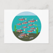 Neon Tetra Briefkaart (Voorkant)