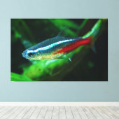 Neon Tetra Fish Paracheirodon Innesi Canvas Afdruk (Insitu (Houten vloer))
