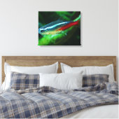 Neon Tetra Fish Paracheirodon Innesi Canvas Afdruk (Insitu (Slaapkamer))
