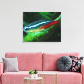 Neon Tetra Fish Paracheirodon Innesi Canvas Afdruk (Insitu (Woonkamer))
