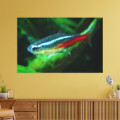 Neon Tetra Fish Paracheirodon Innesi Canvas Afdruk (Insitu (Woonkamer))