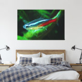 Neon Tetra Fish Paracheirodon Innesi Canvas Afdruk (Insitu (Slaapkamer))
