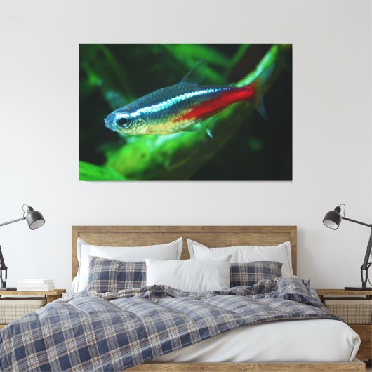Neon Tetra Fish Paracheirodon Innesi Canvas Afdruk (Insitu (Slaapkamer))