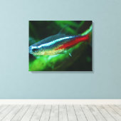 Neon Tetra Fish Paracheirodon Innesi Canvas Afdruk (Insitu (Houten vloer))