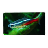 Neon Tetra Fish Paracheirodon Innesi Etiket (Voorkant)