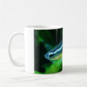 Neon Tetra Fish Paracheirodon Innesi Koffiemok (Links)