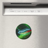 Neon Tetra Fish Paracheirodon Innesi Magneet (Insitu (Vaatwasser))