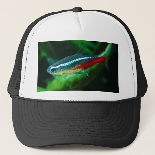 Neon Tetra Fish Paracheirodon Innesi Trucker Pet (Voorkant)