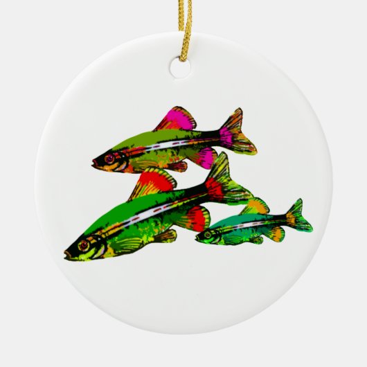 Neon Tetra Triplets Keramisch Ornament (Voorkant)