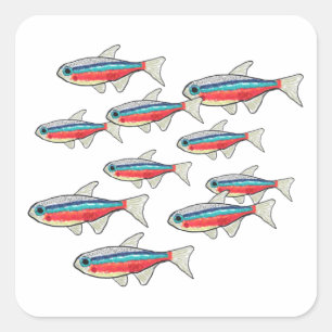 Neon Tetra Vierkante Sticker
