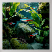 Neon Tetras Plecostomus Aquarium Vistank liefhebbe Poster (Voorkant)