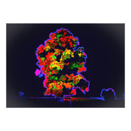Neon tree explosie foto afdruk