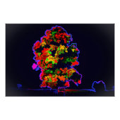 Neon tree explosie perfect poster (Voorkant)