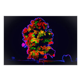 Neon tree explosie perfect poster