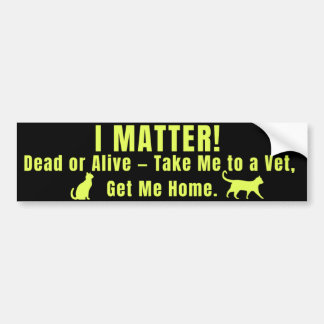 Neon Yellow "I Matter" Bumpersticker