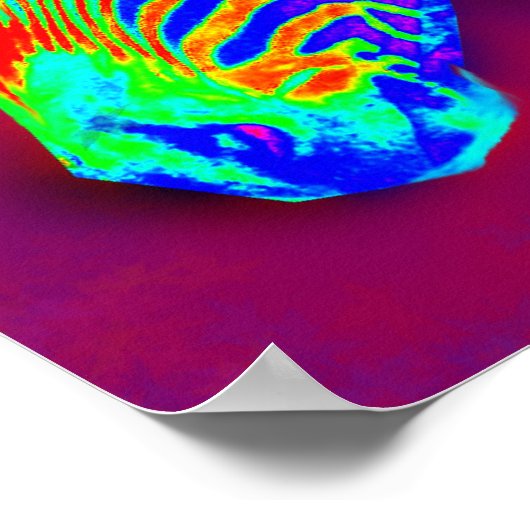 neon zebra-closeup poster (Hoek)