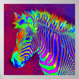 neon zebra-closeup poster