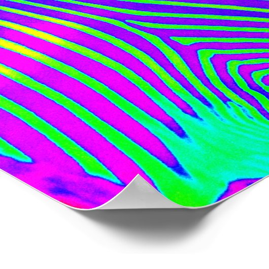 neon zebra - groene , blauwe en paarse retro poster (Hoek)