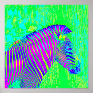 neon zebra - groene , blauwe en paarse retro poster