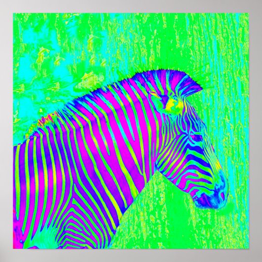 neon zebra - groene , blauwe en paarse retro poster (Voorkant)