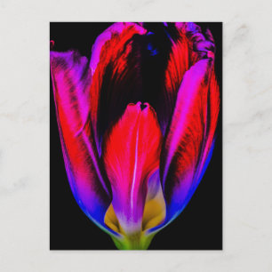neongloeitulp briefkaart