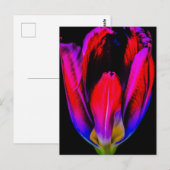 neongloeitulp briefkaart (Voorkant / Achterkant)