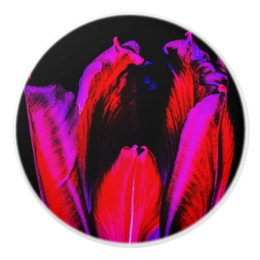 neongloeitulp keramische knop (Voorkant)