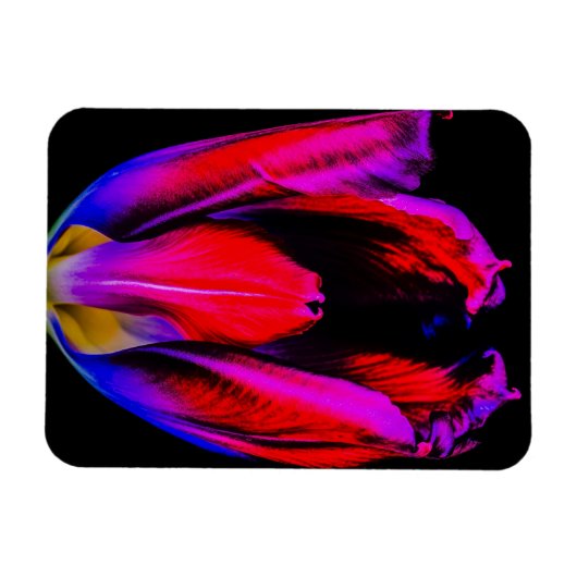 neongloeitulp magneet (Horizontaal)