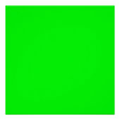 neongroen scherm, heldere, solide zoomachtergrond perfect poster (Voorkant)