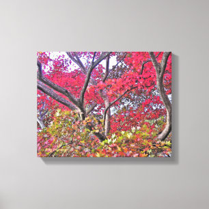 NEONKLEUREN VAN HERFST/BOOM MET KLEURRIJKE BLADERE CANVAS AFDRUK