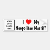 Neopolitan Mastiff Bumpersticker (Voorkant)