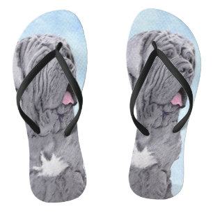 Neopolitan Mastiff-schildering - Oorspronkelijke s Teenslippers