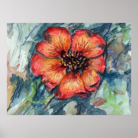 Nepal Cinquefoil Flower Poster (Voorkant)