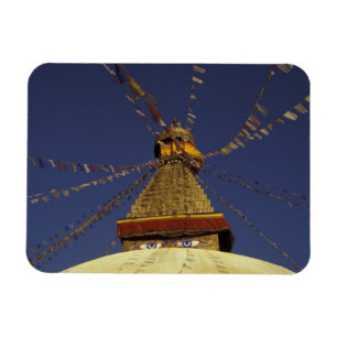 Nepal, Kathmandu. Onder gebeden vlaggen, waakzaam Magneet