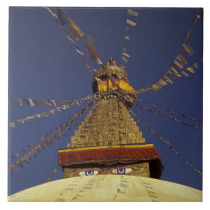 Nepal, Kathmandu. Onder gebeden vlaggen, waakzaam Tegeltje