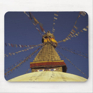 Nepal, Kathmandu. Onder gebedsvaandels, waakzaam Muismat