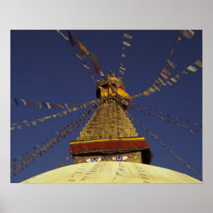Nepal, Kathmandu. Onder gebedsvaandels, waakzaam Poster