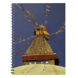 Nepal, Kathmandu. Onder gebedsvaantjes, waakzaam Notitieboek