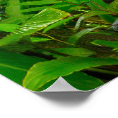 Nepal oerwoud met riverjungle, bos, grond, rivier, poster (Hoek)