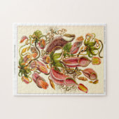 Nepentheceae carnivoren plant legpuzzel (Horizontaal)