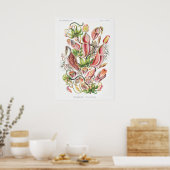Nepenthes Art Prints (Keuken)