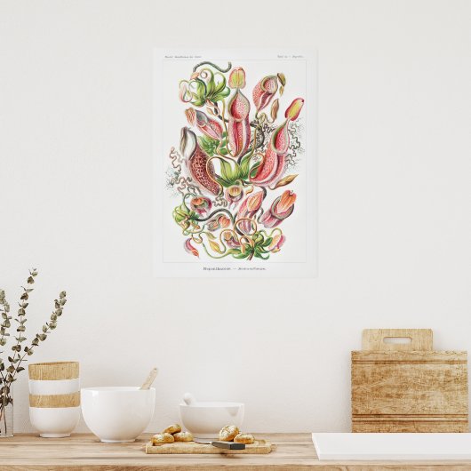 Nepenthes Art Prints (Keuken)