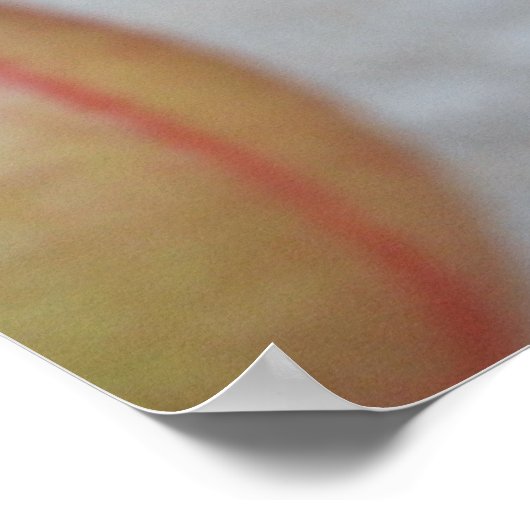 Nepenthes Dangling Poster (Hoek)