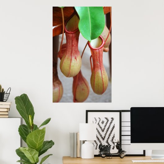 Nepenthes Dangling Poster (Thuiskantoor)