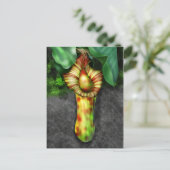 Nepenthes, illustratie Plant Pitcher Briefkaart (Staand voorkant)