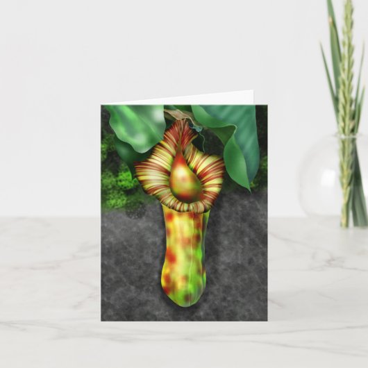 Nepenthes, illustratie Plant Pitcher Notitiekaartje (Voorkant)