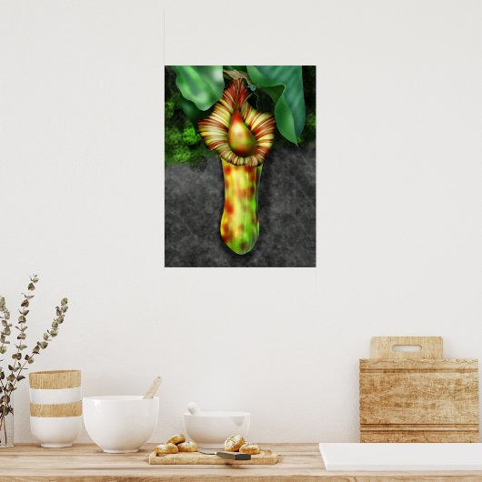 Nepenthes, illustratie Plant Pitcher Poster (Keuken)