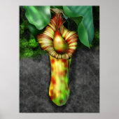 Nepenthes, illustratie Plant Pitcher Poster (Voorkant)